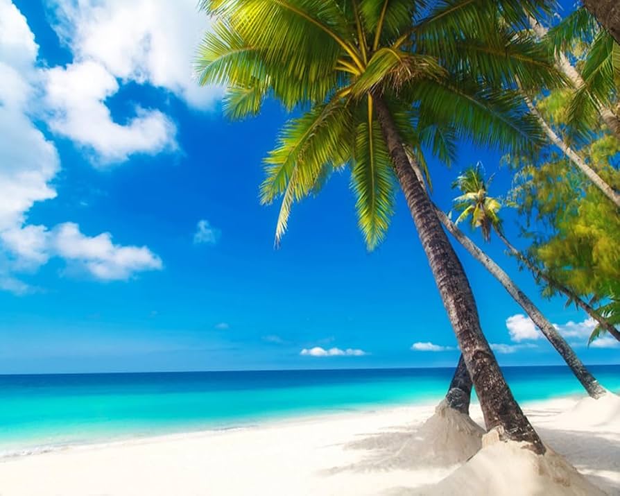 5 accesorios que no pueden faltar en tu maleta de vacaciones