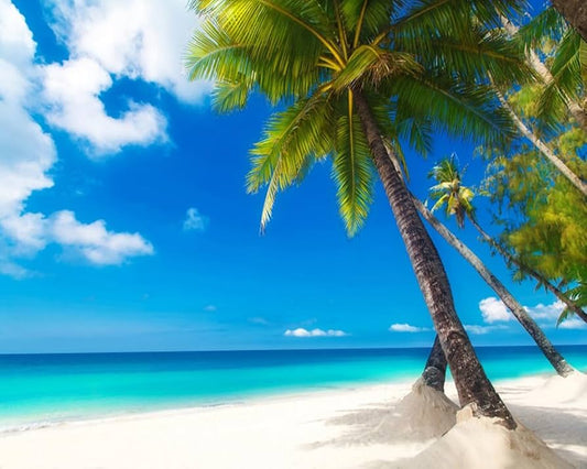 5 accesorios que no pueden faltar en tu maleta de vacaciones